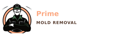 Prime Mold Removal